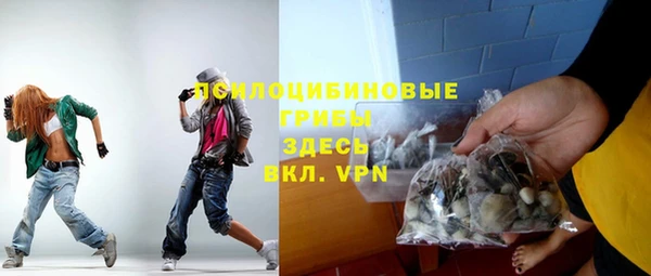 дурь Белокуриха