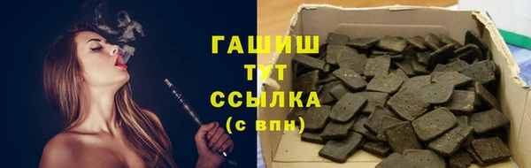 мдпв Богородицк