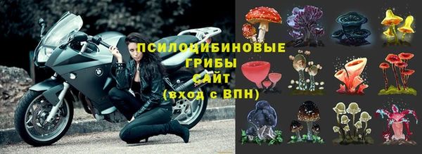 мдпв Богородицк