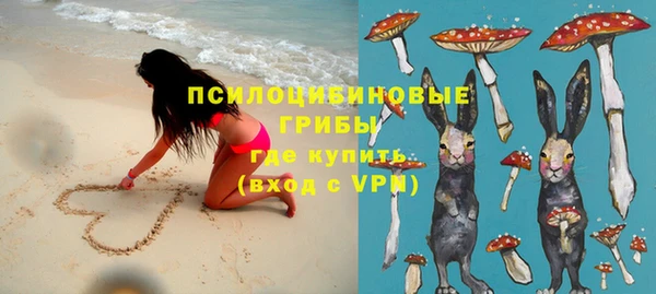 дурь Белокуриха