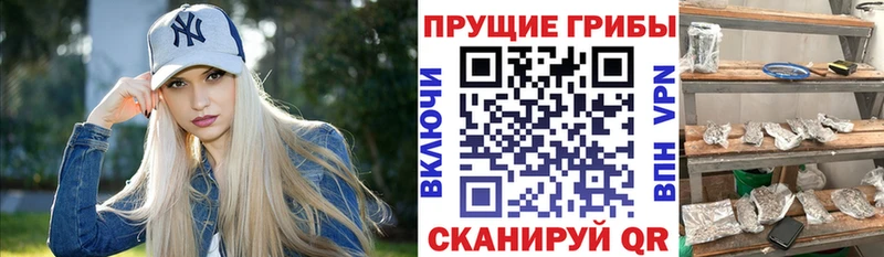 Псилоцибиновые грибы мицелий  это телеграм  Мурманск  mega ссылки 